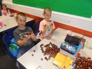 SAM_0390