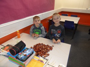 SAM_0391