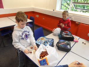 SAM_0392
