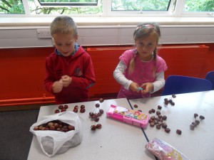 SAM_0410