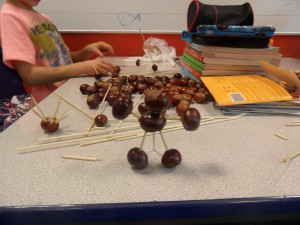 SAM_0411