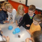 SAM_0995