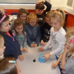 SAM_0997