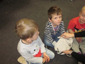 IMG_0528