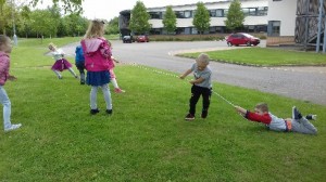 20180512_103505-489x275