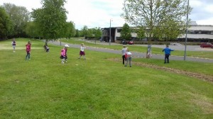 20180512_104633-489x275